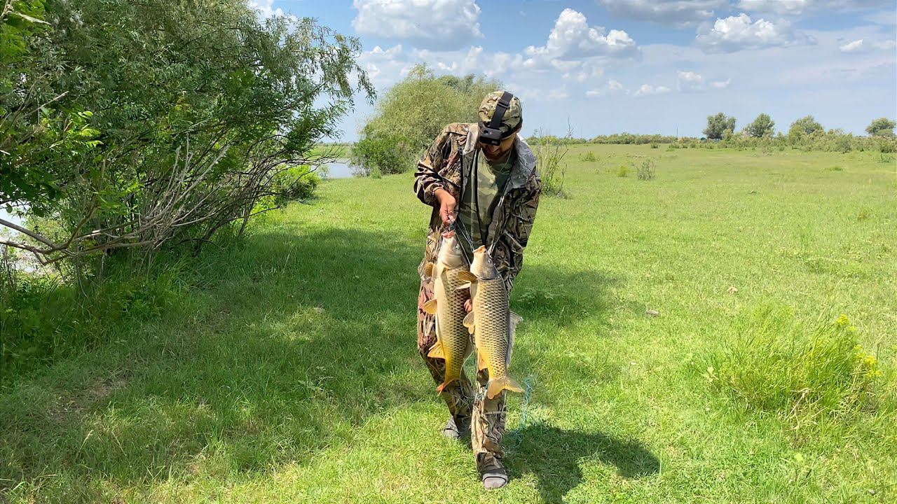 ЗАКИДУШКИ САМИ ЛОВЯТ. САЗАНЫ - КРАСАВЦЫ НА ЖМЫХ. Рыбалка с ночевкой. смотреть онлайн