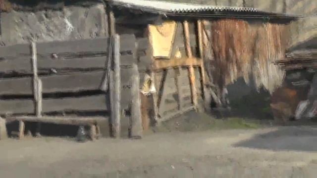 Батюшка, усадьба, огородчик, голуби-дикари-сизари. 21. 05. 2016 смотреть онлайн
