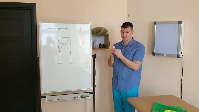 Какую функцию выполняет фасция и что с ней может случится? Фасция. Фиброз. Миофасциальный синдром.