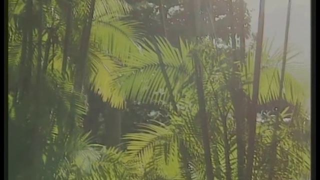 Gaetano Osculati: l'Amazzonia mitica e quella reale смотреть онлайн