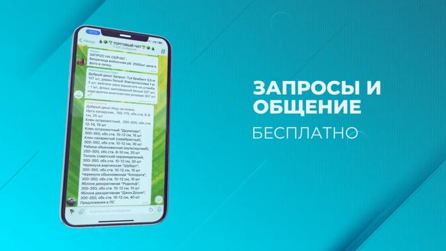 Растения оптом - PlantsTorg группа для поиска и продажи растений. смотреть онлайн