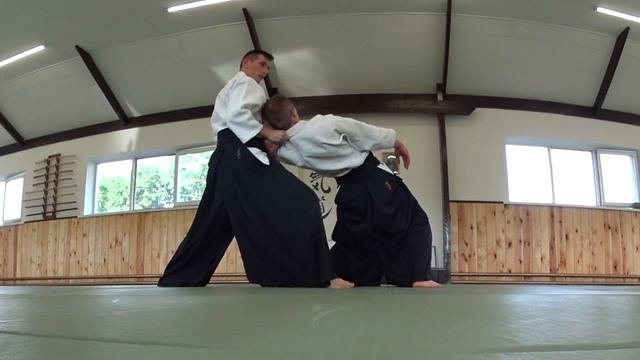 24 Ханми-хантачи ваза. Рётэдори сихонаге (омотэ)