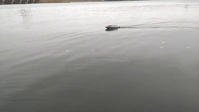 FSR первый заплыв