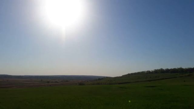 Байбак или степной сурок. Все там же под Изюмом. смотреть онлайн