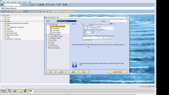 How to Change SAP GUI Theme and Color смотреть онлайн