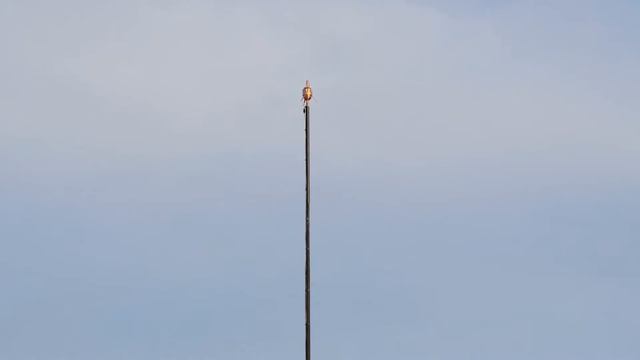 Paratonnerre et fouilles archéologiques de 1874 (st Giniez, Marseille). смотреть онлайн