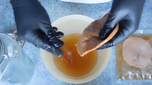 Kombucha Starter Guide | Fermentation Friday смотреть онлайн