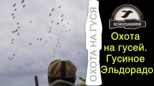 Охота на белощёкую казарку. Карелия, часть 1