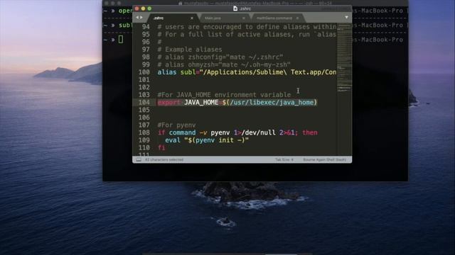 Install Java 14 on macOS with JAVA_HOME смотреть онлайн