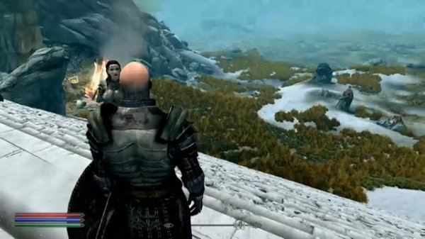 Skyrim SE (mods) - Amazing Follower Tweaks