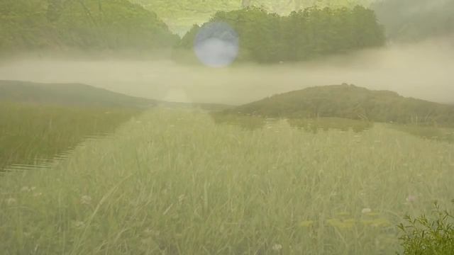 BEDŘICH SMETANA - Z ČESKÝCH LUHŮ A HÁJŮ смотреть онлайн