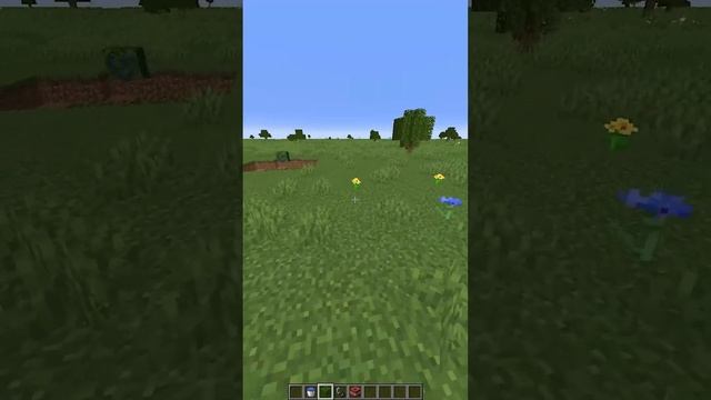 The most underrated feature in 1.19 ? #minecraft #update #meme #shorts смотреть онлайн