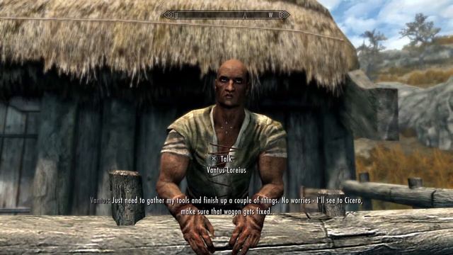 Skyrim - Cicero (Random Encounter)