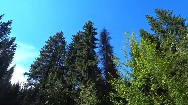 Семейный парк Югыд Лун в Сосногорске / Канал Ухта смотреть онлайн