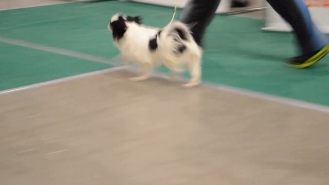 DSC 0127 смотреть онлайн