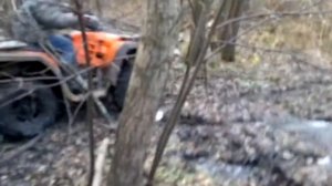 квадрик стелс 300в