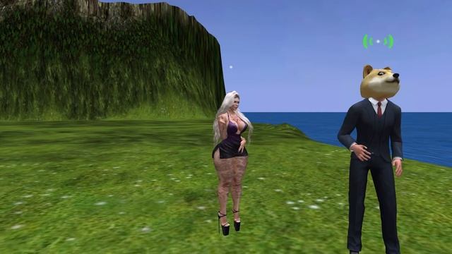 second life is an awful game смотреть онлайн
