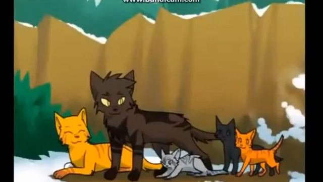 Ежевика, Уголёк и Белка - Ты так красива, не выносимо смотреть онлайн