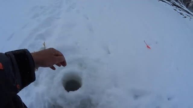 Хотел собираться и тут НАЧАЛОСЬ!!!ЖОР ОКУНЯ НА БАЛАНСИР!!!Рыбалка 2020 fishing, perch смотреть онлайн