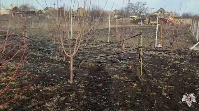 ПЛАН РАБОТ на ВИНОГРАДНИКЕ в ФЕВРАЛЕ! Сезон 2022 смотреть онлайн