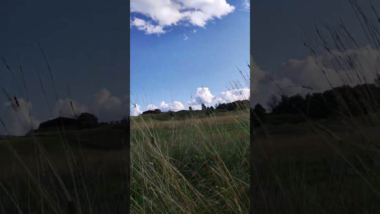 Лето в Подмосковье