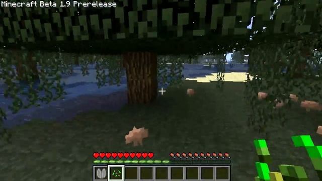 Minecraft Beta 1.9 - Swamp Biome Update And Lily Pads!