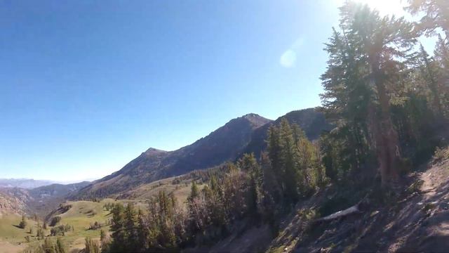 2.5 тысячи км пешком - PCT 2022 с супругой Carlson pass часть 18 смотреть онлайн