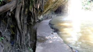 Лучшая экскурсия в Нячанге. Далат за 19$