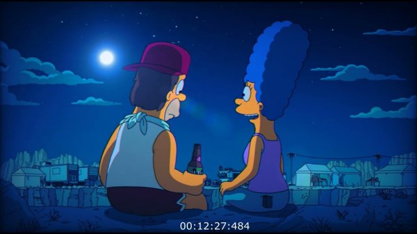 night walk in nature