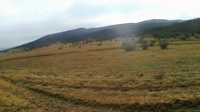 охота на зайца в дагестане смотреть онлайн