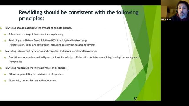 Rewilding with Zoltan Kun смотреть онлайн