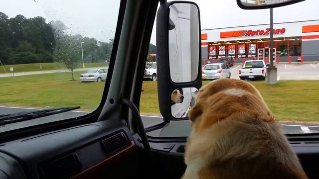 Дальнобой по США смотреть онлайн