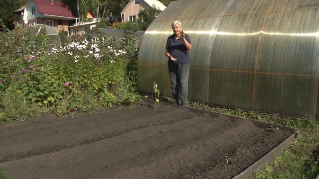 Голова садовая - Подзимняя посадка лука смотреть онлайн