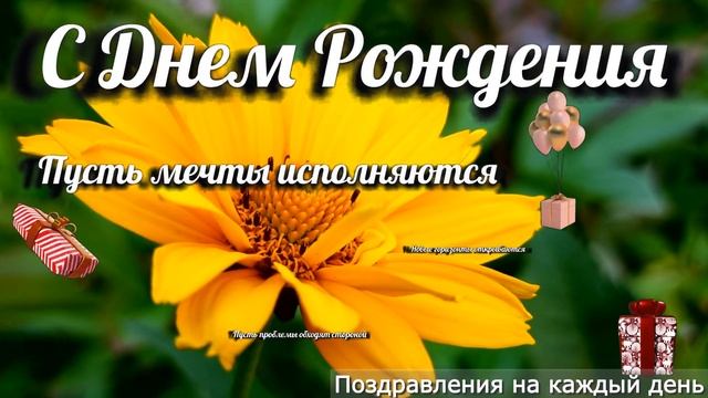 Красивое Поздравление с Днем Рождения | С Днем Рождения смотреть онлайн