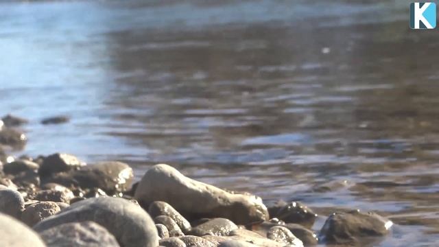КОМПЬЮТЕР АЛДЫН ҰЗАҚ ОТЫРУДЫҢ ЗИЯНЫ смотреть онлайн