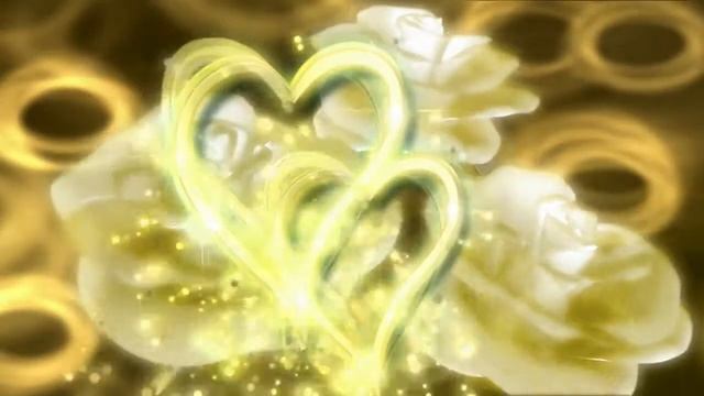 Свадебный футаж Белые розы фон для видеомонтажа смотреть онлайн