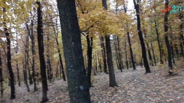 Осенние листья смотреть онлайн