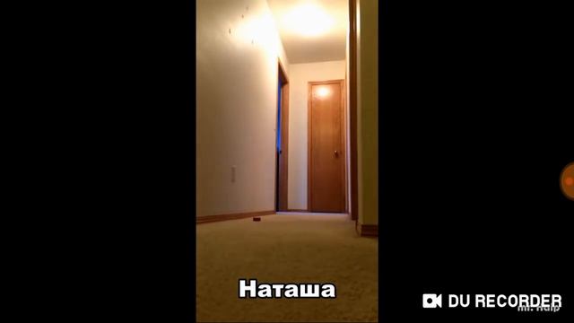 Попугай говорит наташа смотреть онлайн