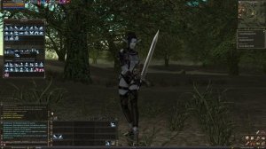 Lineage 2 C4 Прокачиваю темную эльфийку, выполняю начальные квесты - Прохождение Часть 205
