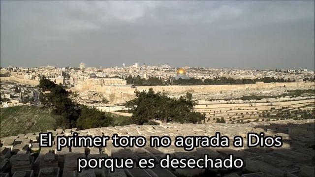 El segundo Toro.(IURD) смотреть онлайн