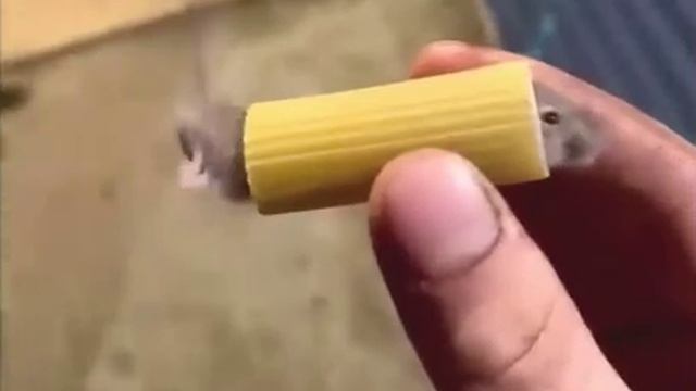 Видео,приколы,юмор,смех смотреть онлайн