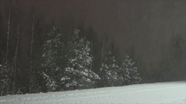 Зимняя дорога