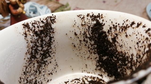 ☕ Гадание на кофейной гуще | Гадание онлайн | ДоброУтреннийПрогноз?? 30.03.2022 г. смотреть онлайн