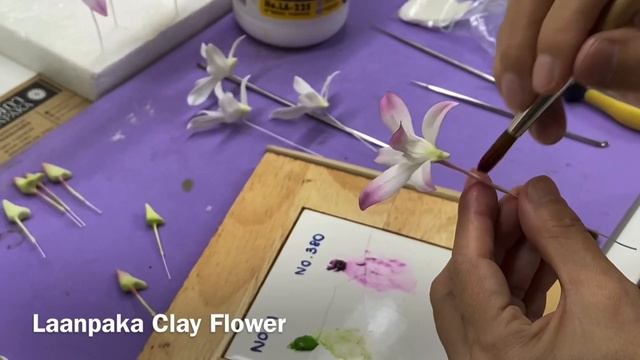 Орхидея Дендробиум Цезарь часть2. mp4 смотреть онлайн