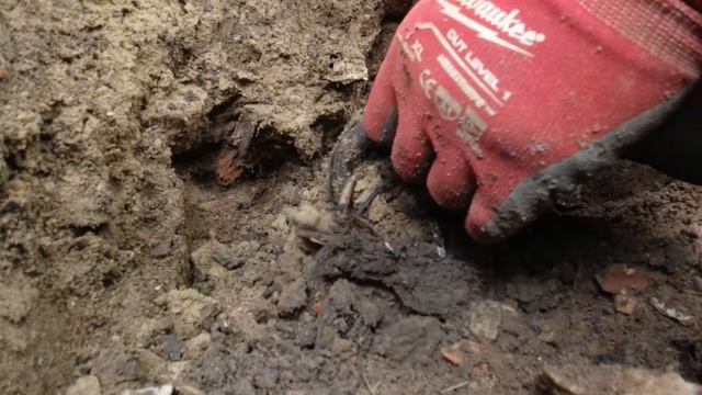 Oldest American Antique bottle ever dug on Camera! Bottle Digging Colonial Trash Dump! смотреть онлайн