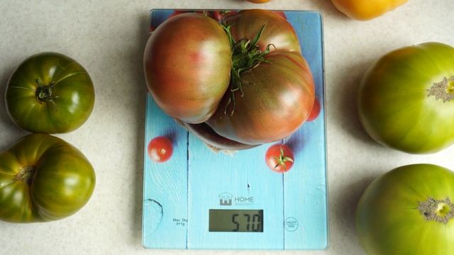 Эти помидоры советую всем! Вкуснейший сорт томата Чероки Фиолетовый! смотреть онлайн