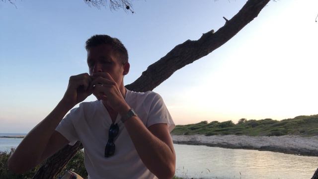 Thunder road (Bruce Springsteen) harmonica tab (diatonic key of F) смотреть онлайн