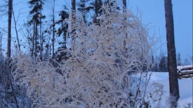 Рябиновый рай смотреть онлайн