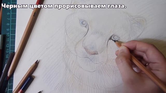 Мастер-класс "Рисуем снежного барса" смотреть онлайн