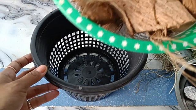 How to repot orchids|repotting dendrobium orchids||orchids potting mix|||orchid plant care|||| смотреть онлайн